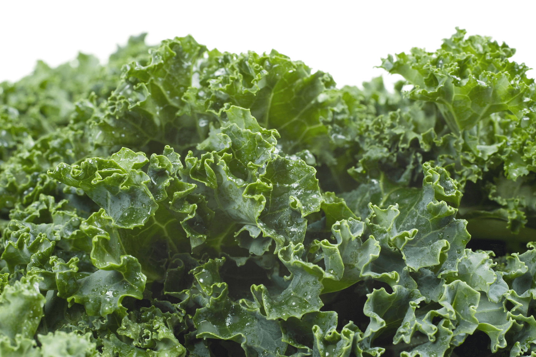 What’s So Great About Kale?